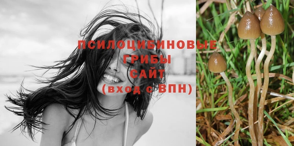 гидропоника Коряжма