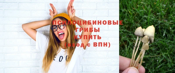 гидропоника Коряжма