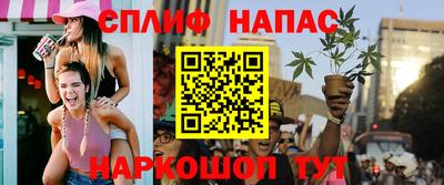 прущие грибы Камышлов